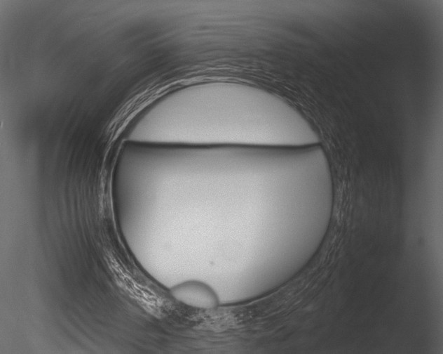 X0000085780194200703161008