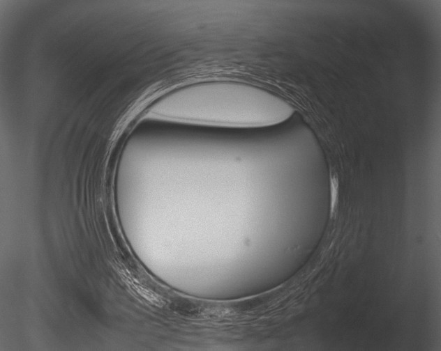 X0000085780195200703161008