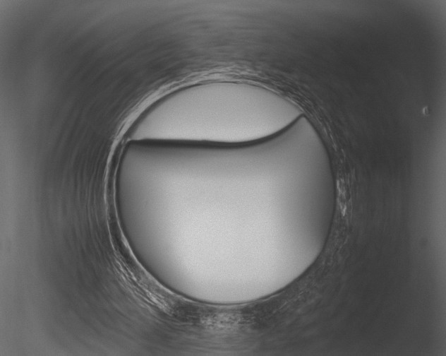 X0000085780196200703161008