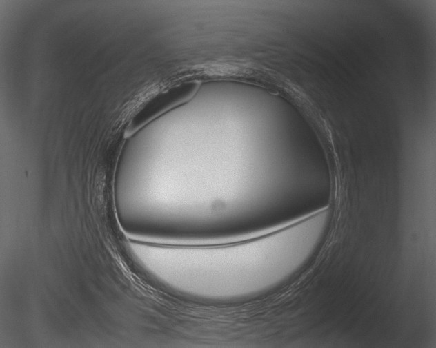 X0000085780201200703161008