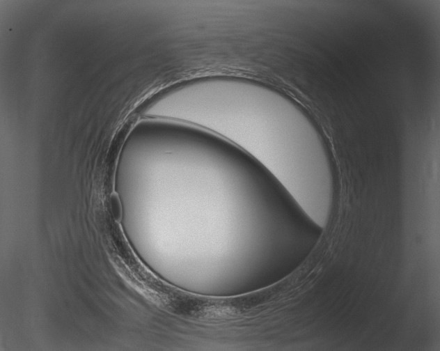 X0000085780203200703161008
