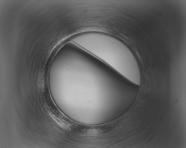 X0000085780204200703161008