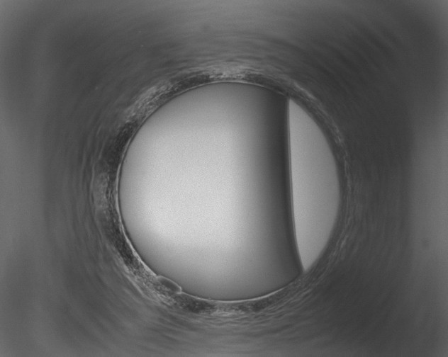 X0000085780209200703161008