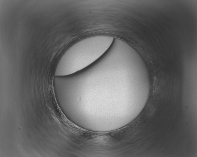 X0000085780210200703161008