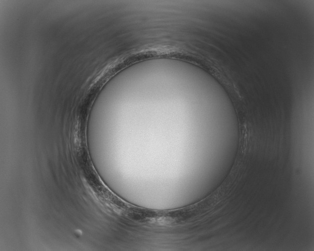 X0000085780212200703161008