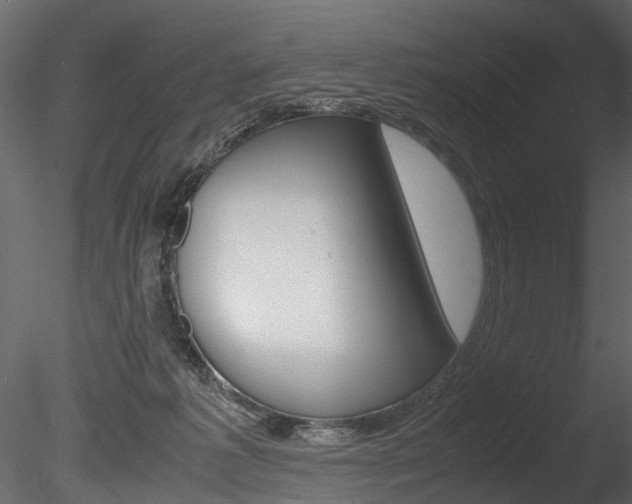 X0000085780221200703161008