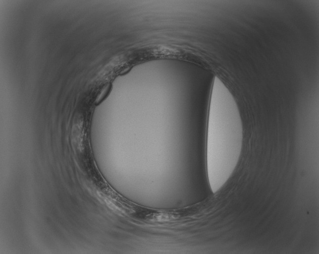 X0000085780223200703161008