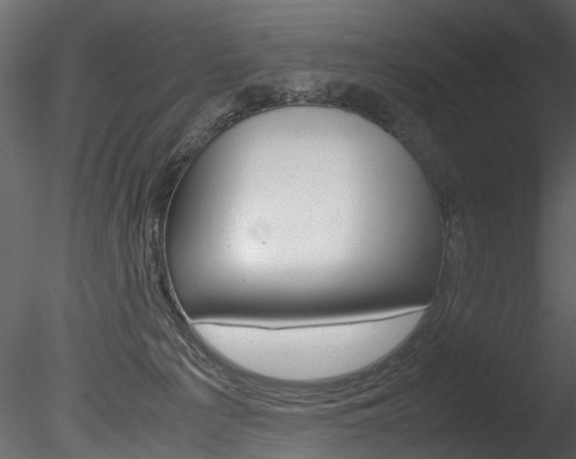 X0000085780225200703161008