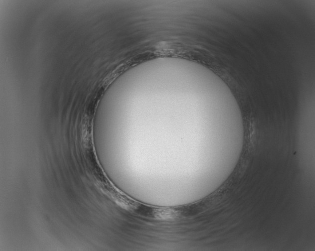 X0000085780226200703161008