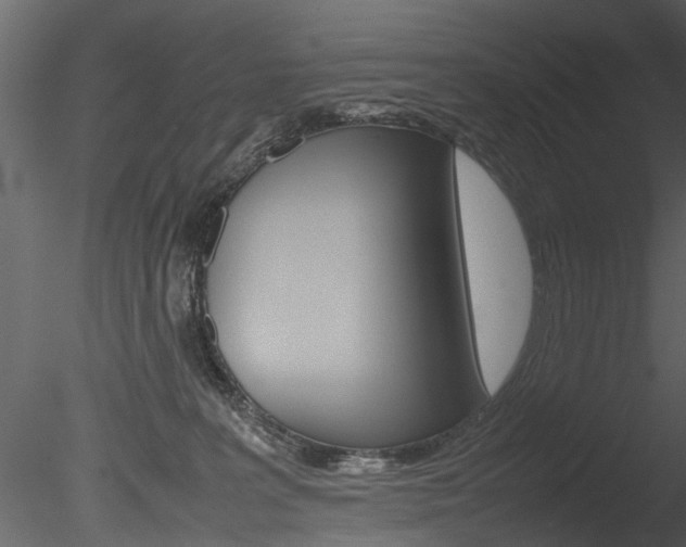 X0000085780227200703161008