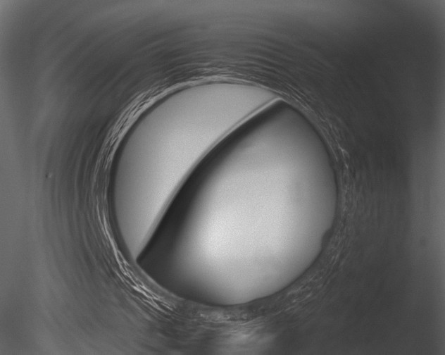 X0000085780241200703161007