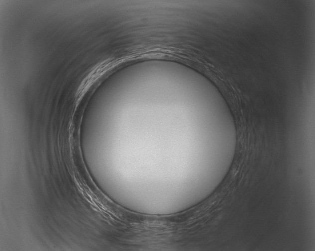 X0000085780242200703161007