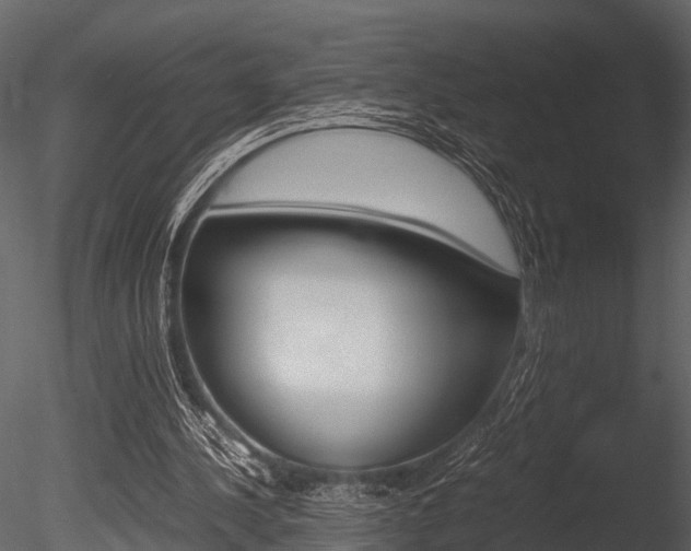 X0000085780244200703161007