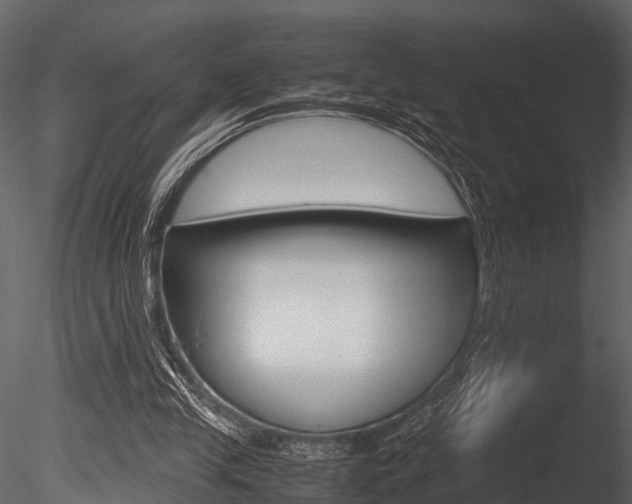 X0000085780245200703161007