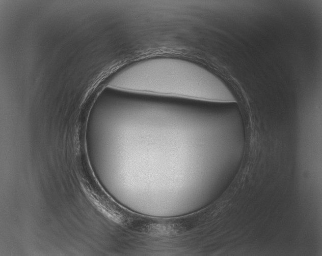 X0000085780250200703161007