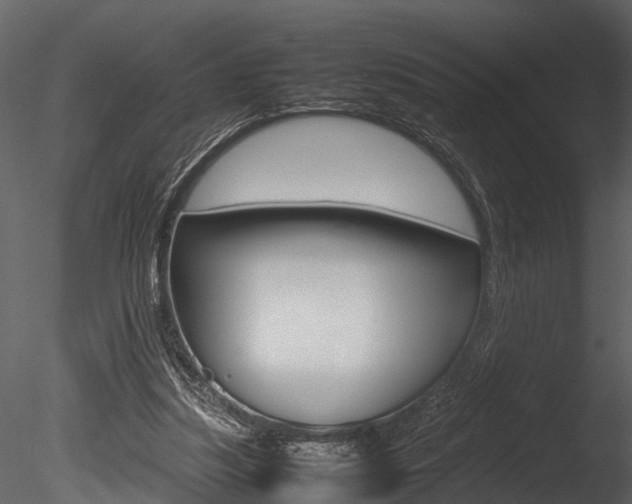 X0000085780251200703161007