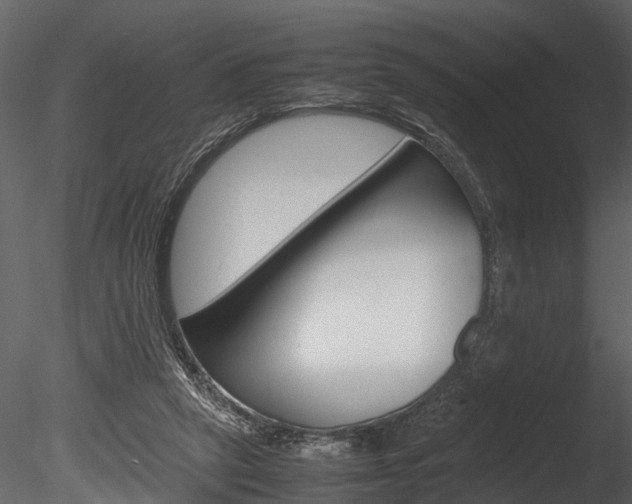 X0000085780257200703161007