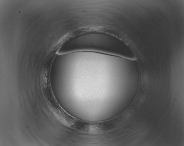 X0000085780264200703161007