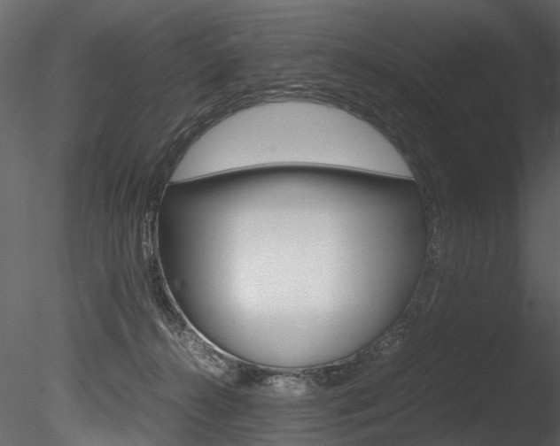 X0000085780272200703161007