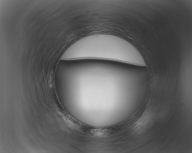 X0000085780273200703161007