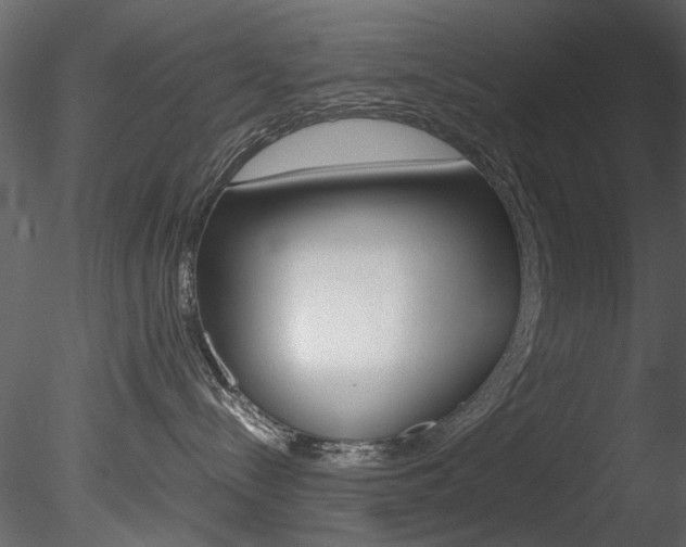 X0000085780288200703161008