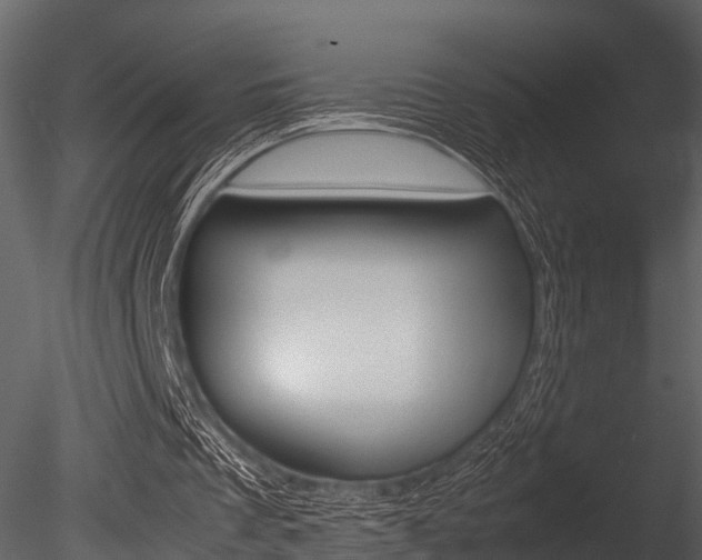 X0000085780289200703161007