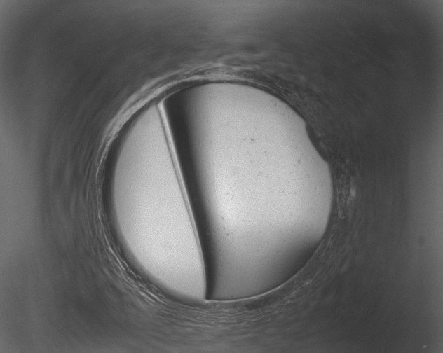X0000085780295200703161007