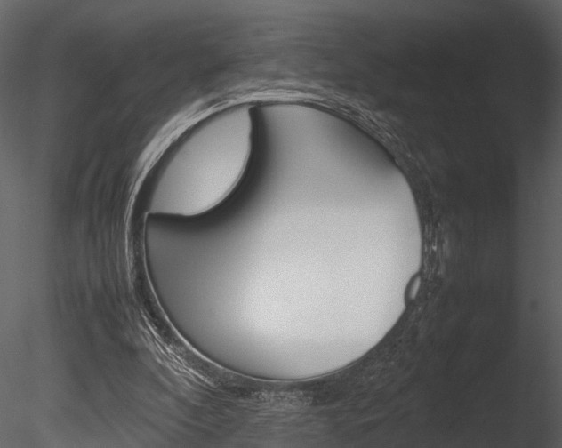 X0000085780296200703161007