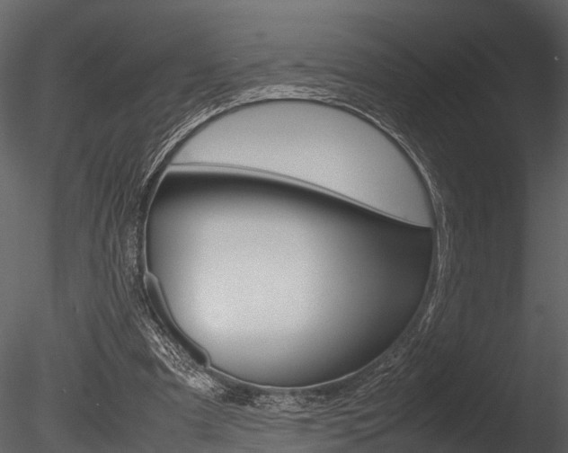 X0000085780297200703161007