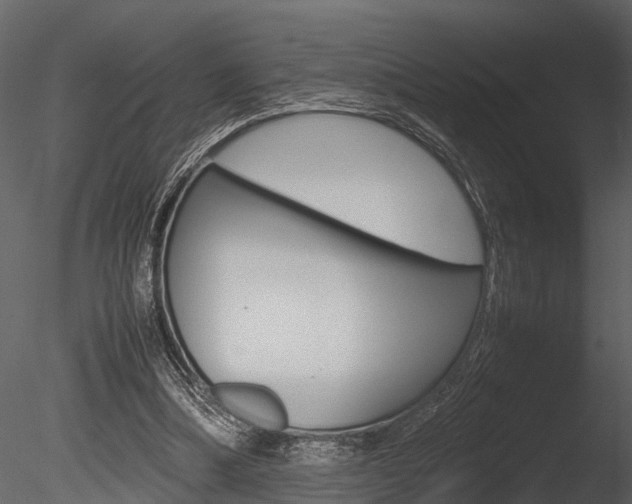 X0000085780298200703161007