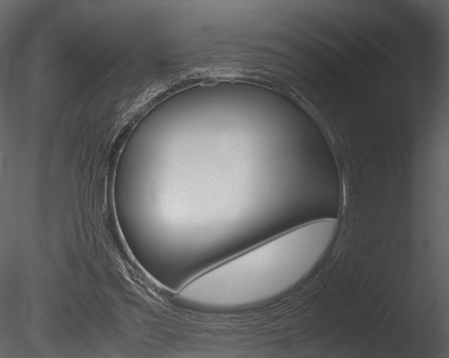 X0000085780301200703161007