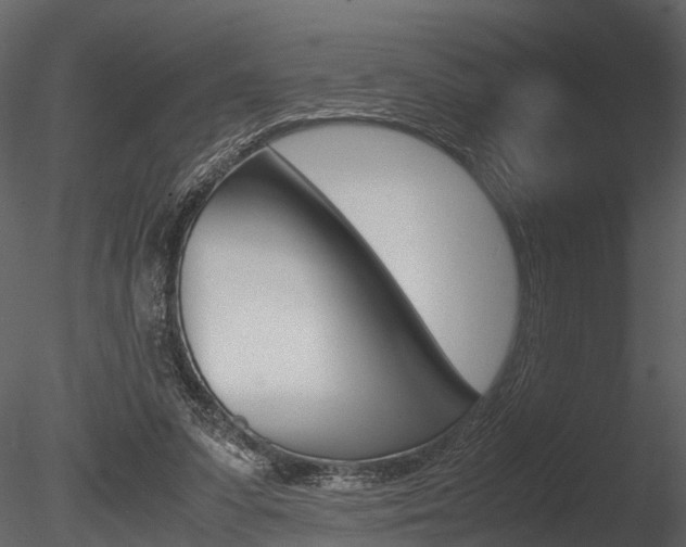 X0000085780303200703161007