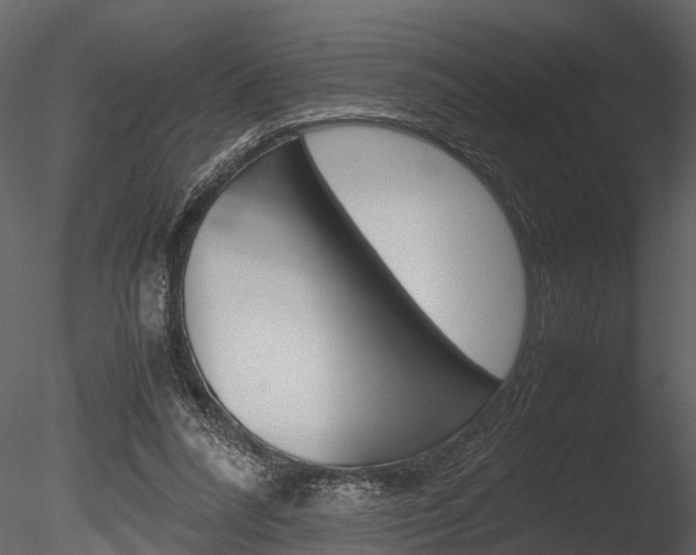 X0000085780304200703161007