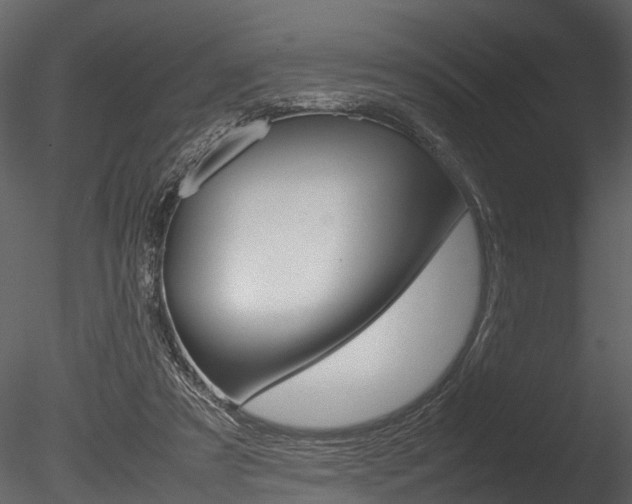 X0000085780305200703161007