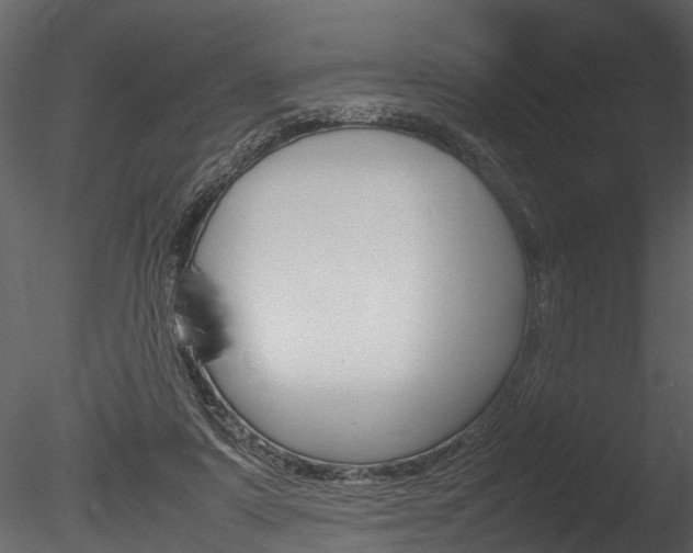 X0000085780307200703161007
