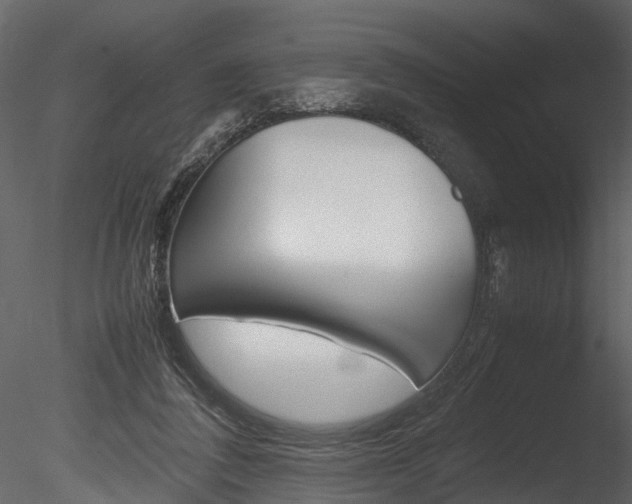 X0000085780308200703161007