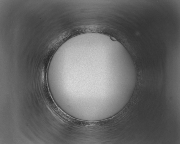 X0000085780310200703161006