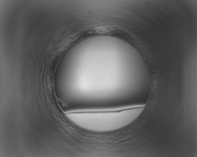 X0000085780317200703161006