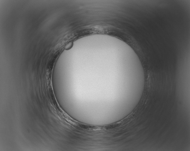 X0000085780318200703161006