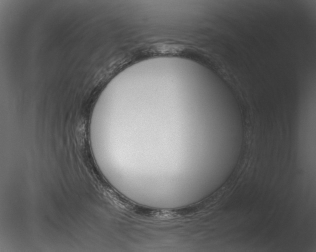 X0000085780321200703161006