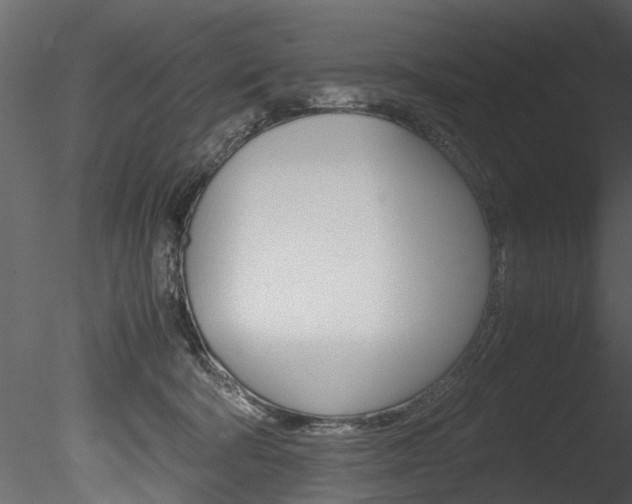 X0000085780322200703161006