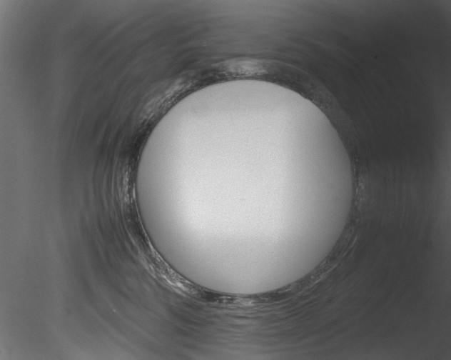 X0000085780330200703161006