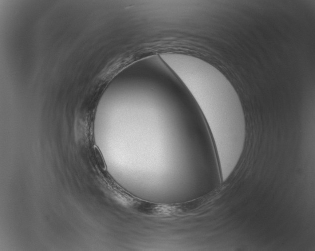 X0000085780333200703161006