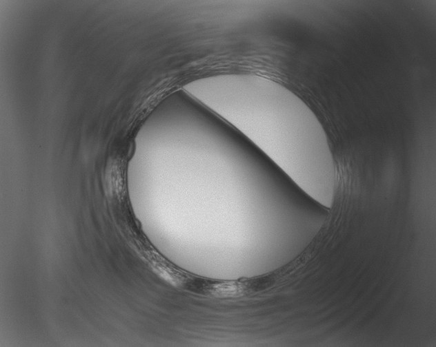 X0000085780335200703161006