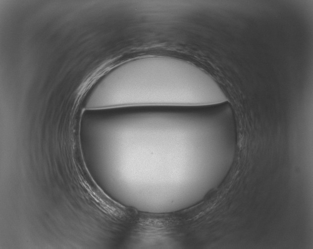 X0000085780341200703161005