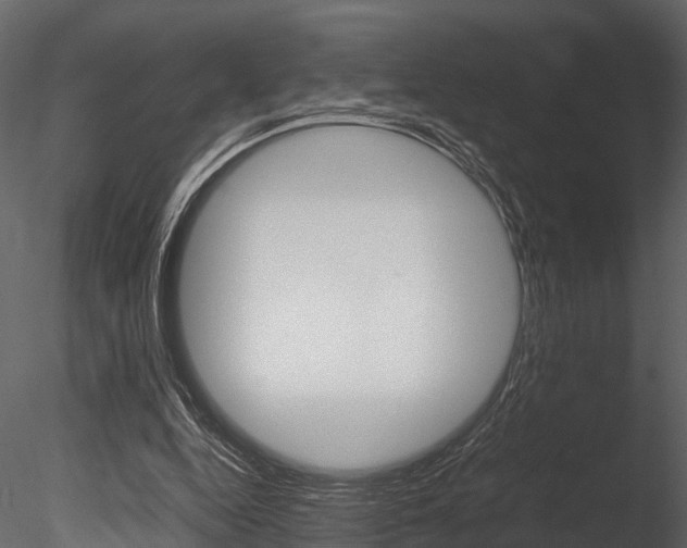 X0000085780344200703161005
