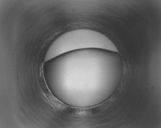 X0000085780360200703161006