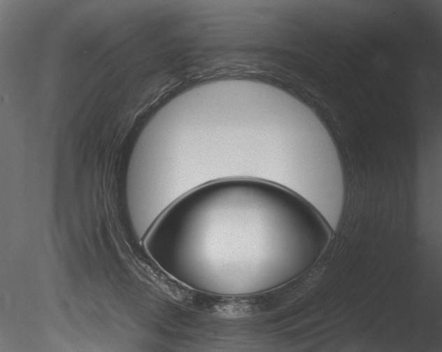X0000085780362200703161006