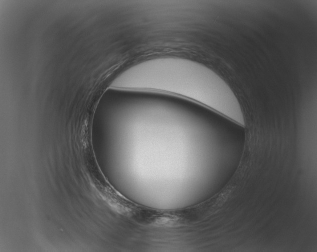 X0000085780364200703161006