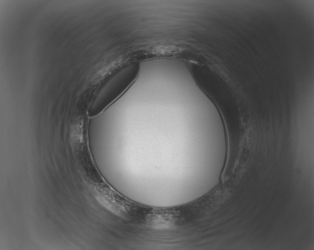 X0000085780368200703161006
